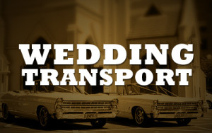 Wedding Transport